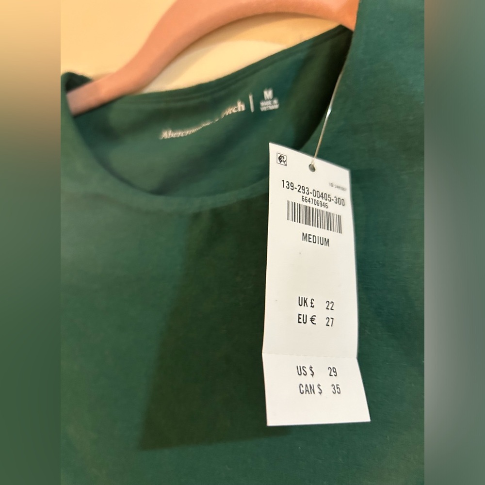 Abercrombie & Fitch Green Long Sleeve Shirt Medium NWT - Picture 2 of 4